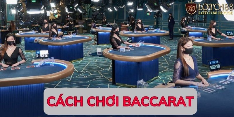 Cách chơi Baccarat