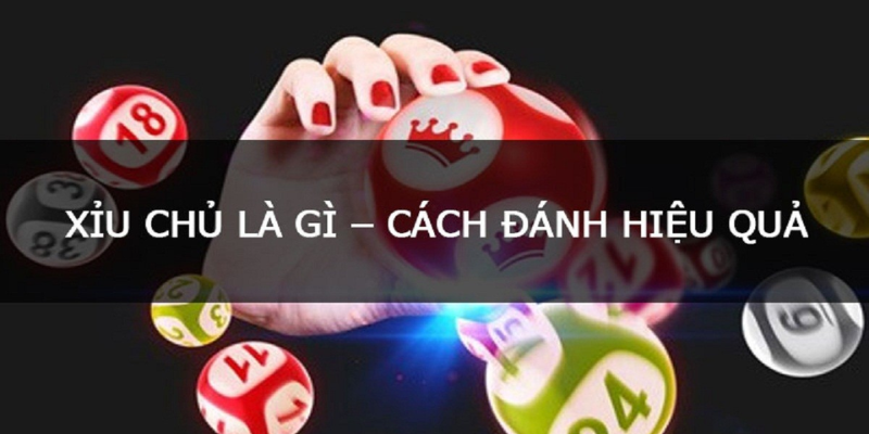 Cách chơi xỉu chủ là gì