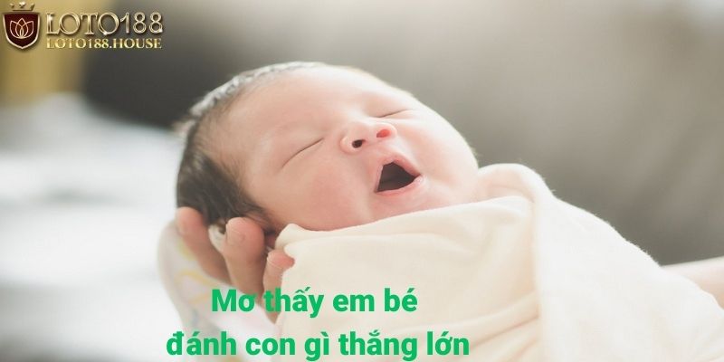 Có rất nhiều con số ẩn dấu phía sau giấc mơ về em bé