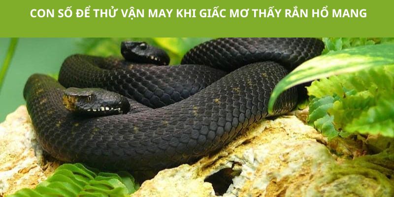 Gợi ý một vài con số may mắn để các bạn thử vận may 